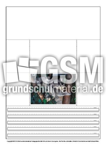 Popup-Buch-Koala-1-5.pdf